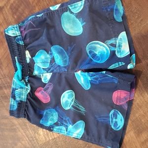 Lands End swim trunks